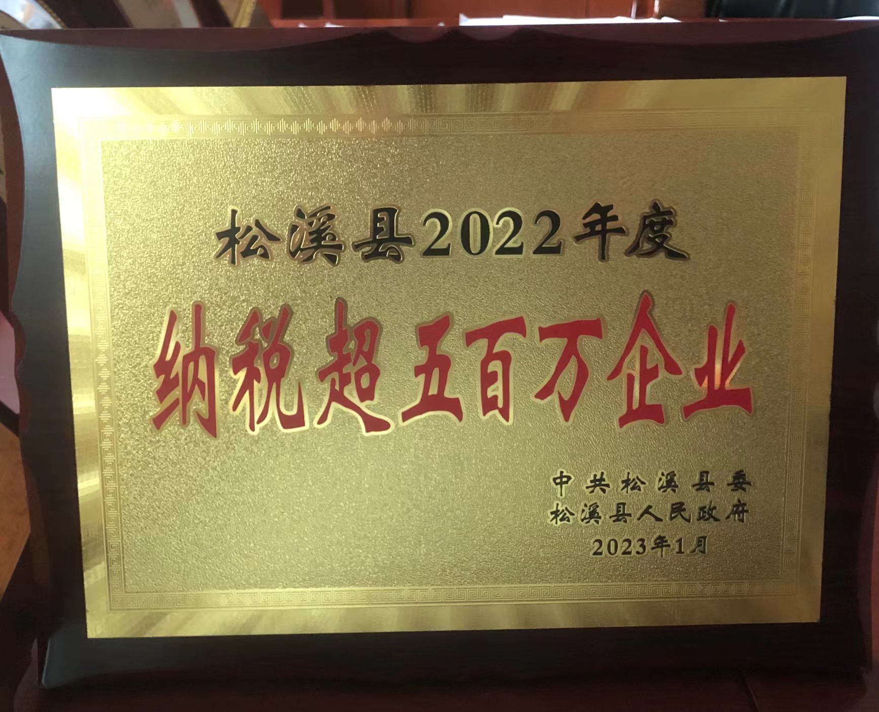 喜報(bào)！易順建工集團(tuán)喜獲“松溪縣2022年度納稅超五百萬(wàn)企業(yè)”榮譽(yù)