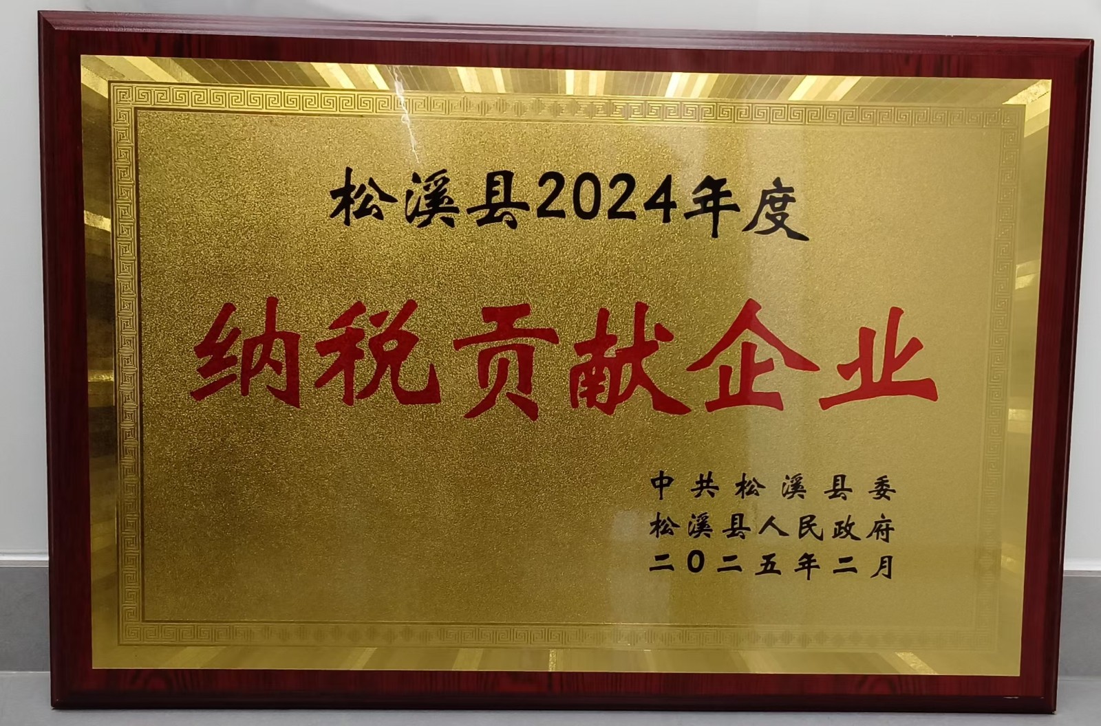 喜報(bào)！易順建工集團(tuán)榮獲“松溪縣2024年度納稅貢獻(xiàn)企業(yè)”稱號(hào)